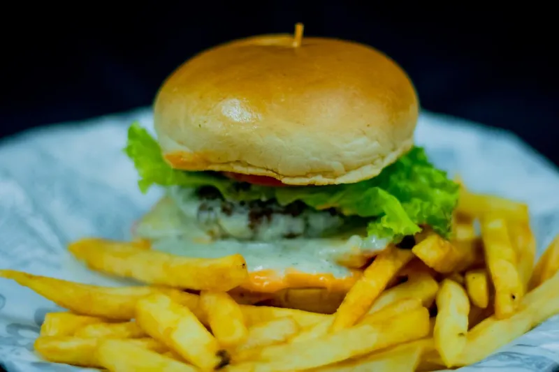 ARTESANAL BURGUER C/ BATATA